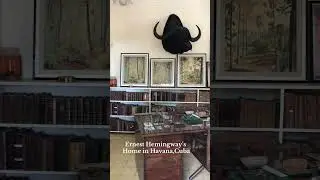 Ernest Hemingway&rsquo;s home in Cuba #vintagehome #travel #cuba #history #historicalsites #hemingway ￼￼