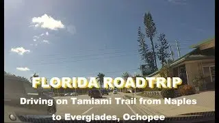 Driving from Naples (5th Ave S) on Tamiami Trail E (US41) to Everglades, Ochopee