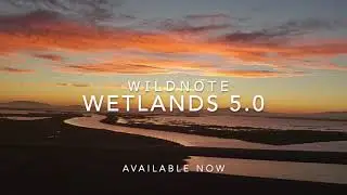 Wildnote's Wetland Delineation v5.0:  Digital Speed and Accuracy Just Got Better with Wetland&nbsp;5.0