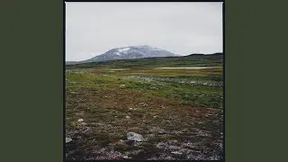 Gausta