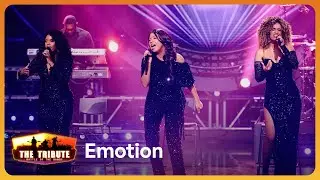 Emotion // Child Of Destiny // DESTINY'S CHILD COVER // The Tribute