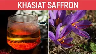 Inilah 7 Manfaat Rempah Saffron untuk kesehatan | Dapat Meningkatkan Gairah...