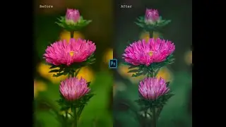 Photoshop Editing : Soft Matte effect on Flower photography