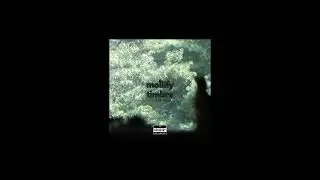 day - 'mollify timbre' (2024) - Rookie 1978