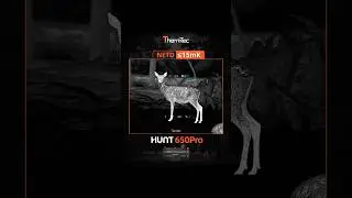 #thermalhunting #huntpro