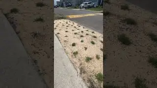 Часто задаваемые вопросы и новости о Bermuda Plugs!