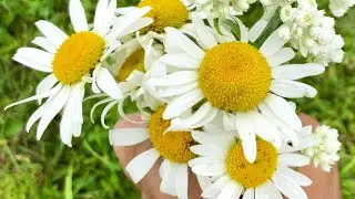 Priyanka Singh  is live