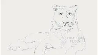 Tiger sketching & animated #youtube#art #animals #tigerdrawing#digital#sketch#artisticchannel#viral
