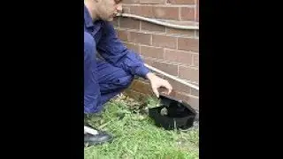 Bondi Commercial Pest Control With a Guarantee for Commercial Pest Control