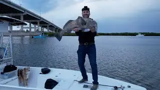 Bottom Fishing Black Drum!