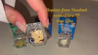 Shopkins haul video! Straight from Facebook marketplace 