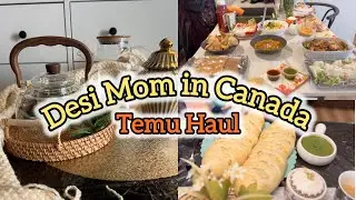 Desi Mom in Canada 🇨🇦| Temu Haul 2025 | Pakistani Mom Lifestyle Vlog✨