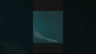 Как появляются цунами?🌊 #факты #цунами
