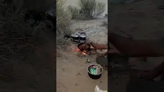 Camping in Thar Desert 🌵 #jaisalmer #desertlife #thardesert #camping #cookingvideo