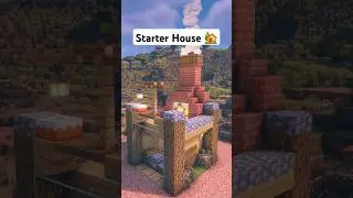 Minecraft Epic Starter House 🏡#shorts #minecraft