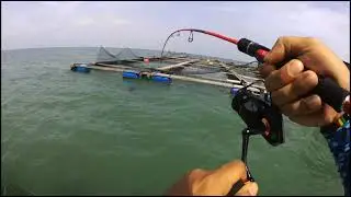 TRIP SANTAI 3 TEKONG SANGKAR KUALA GULA @faizalfishingtv