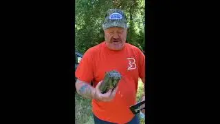 Moultrie trail camera mount.