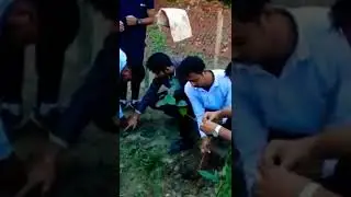 Sunstone Eduversity | Assam Down Town University Campus | Plantation Program | EducationThatWorks