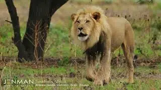JENMAN African Safaris