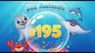 Sea Animals for Kids | Seal, Sea Lion, Walrus | Sound Learning
