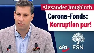 Corona-Fonds: Korruption pur! 💸