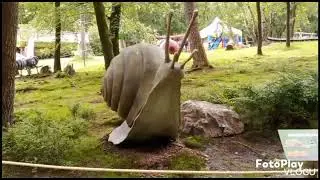 Julianatoren kriebelweken🐛🦋 zondag 16-6-2024 juni