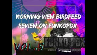 Morning View Birdfeed Review On Funko PDX #wildlife #birds #live