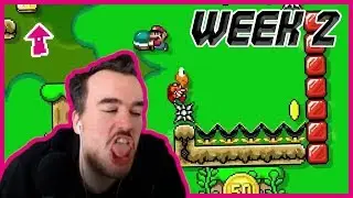 Levels of the viewers - Barb plays submitted viewer Mario Maker 2 levels