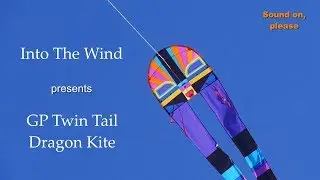 Into The Wind GP Twin Tail Dragon Kite