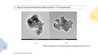 ERICA-Microstructure Dissemination