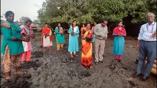 Mangroves for Climate, Children and Communities