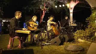 Atalef iver (murci&eacute;lago ciego) / Eli & Avrumi Schwebel 