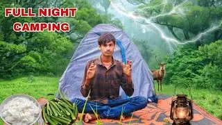 Overnight camping in forest | camping in india & cook green vegetables | ram mp camping