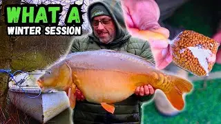 I Caught HUGE Carp in 24hrs at Lovelace Fishery Using SIMPLE Tactic