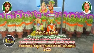 முளைப்பாரி எடுத்தல் ( வீரப்பட்டி கிராம பொங்கல் விழா  2025 )