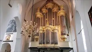 Psalm 147 - Joriskerk Amersfoort - Concert Koninklijke Onderscheiding