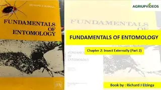 Fundamentals of Entomology Chapter 2 Part 2#arthropod #insectanatomy #bscagriculture #entomology#jrf