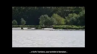 Paseo desde La Puebla del Río hasta la Isla Mínima. Sevilla