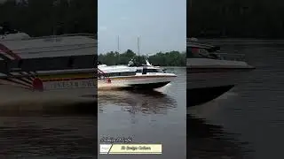 Sb Evelyn Calisca