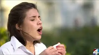 Dealing with spring allergies