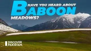 Unexplored Amazing Place in Pakistan - Baboon Meadows | Mountains of Pakistan