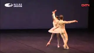 The Sleeping Beauty Pas de deux - Irina Perren & Leonid Sarafanov