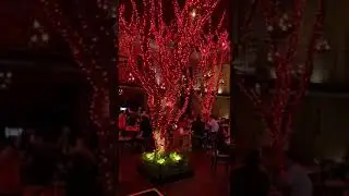 📍Restaurante @azulhistorico Centro Hist&oacute;rico, Ciudad de M&eacute;xico ❤️❤️❤️😍😍😍🥰🥰🥰🇲🇽🇲🇽🇲🇽- @grupohabita