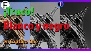 Truco de Blanco y negro, en Capture One