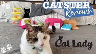 CatLadyBox Subscription Review 2024
