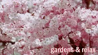 Wonderful relax music and the beauty of the gardens - for the normalization of soul and body, rest
