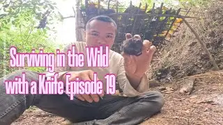Surviving in the Wild with Only a Knife | Episode 19: Upgrading My Bed & Solving Problems Alone