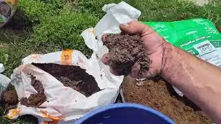 beginners best medium for weed ,the vaults multi strain grow medium with a PH of seven one shot !!!