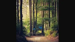 OCD Moosh and Twist- 