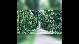 ঘাটাইল সড়ক✅✅▶️▶️